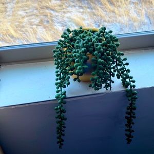 Fake hanging plant